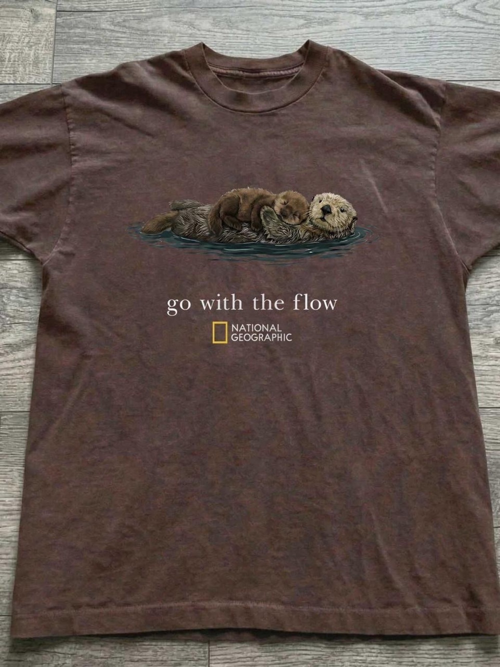 Gildan Dark Chocolate Otters Grapphic Tee